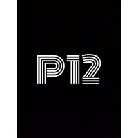 P12 Property Developers logo - Similar company to P12 Digital