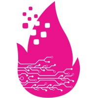 Firesoft logo - Similar company to Evolve Digital