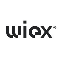Wiex.com logo - Similar company to Bytwave