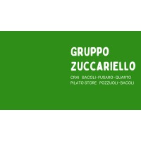 Gruppo Zuccariello logo - Similar company to Vibian Group  S.R.L.