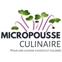 Ma Micropousse Culinaire