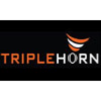 Triplehorn Technological Services