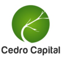 Cedro Capital logo - Similar company to Armada Asset | Multi Family Office