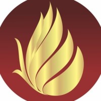 Golden Rays logo - Similar company to Active Media