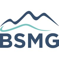 BlueSummit Medical Group logo - Similar company to Daldalyan Group