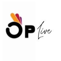 P LIVE AGENCY logo - Similar company to N