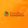 FirstBorn Foundation logo - Similar company to Tongston Entrepreneurship Group: Holdings, Institute, College, Media And Ventures