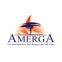 Amerga logo - Similar company to Trust Assurance