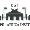 Europe-Africa Institute logo - Similar company to Gotbackup