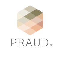 Praud logo - Similar company to Ojo Que Piensa