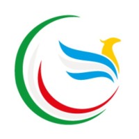 Proyecto Fenix logo - Similar company to Il Globo