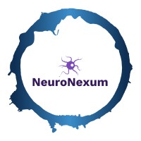 NeuroNexum logo - Similar company to Junovr