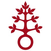 Dominikus-Ringeisen-Werk logo - Similar company to Griffity Gmbh
