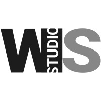 WindySoul Studio logo - Similar company to Techgroup