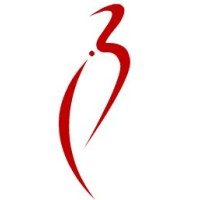 Bangaree Infotech Solutions logo - Similar company to Skystack Llc