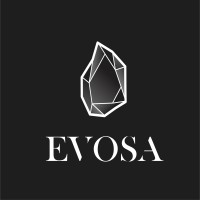 EVOSA logo - Similar company to World Premier Agency - Staffing