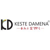Keste Damena Foam and Plastic logo - Similar company to Maleda Foam