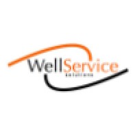 Well Service Solutions Ltd logo - Similar company to Integrated Well Services & Solutions