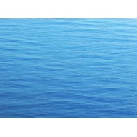 Blue Water Health Coaching logo - Similar company to Olivetech - Managed It & Cybersecurity