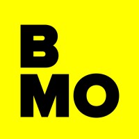 Brayden Moore Data Systems Consulting logo - Similar company to Melange Group
