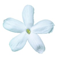SILAN logo - Similar company to Epsilon Formación