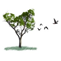 Western Conservation Pty Ltd