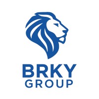 BRKY GROUP logo - Similar company to Datafrica Consulting