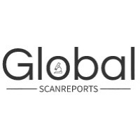 Global Scan Reports logo - Similar company to Define Edge