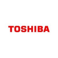 Toshiba SFGT BTS Holding Batteries logo - Similar company to Tesla Batteries - Uae