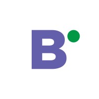 Bivision Ltd logo - Similar company to Mob.Ge