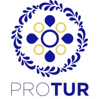 Protur Consulting logo - Similar company to Servicomtel