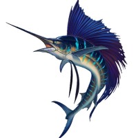 Sailfish Holding Company logo - Similar company to Sailfish Llc