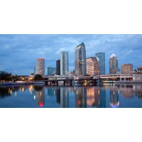 Peter Steffens Consulting, LLC