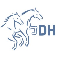 Dark Horses IT Solutions logo - Similar company to Anet It Solutions