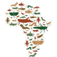 African Insect Protein logo - Similar company to Little Nourishments Llc