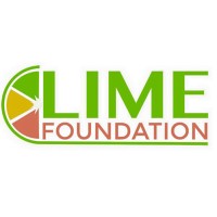 The LIME Foundation logo - Similar company to W3Box