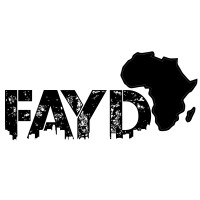 FAYDAfrica logo - Similar company to Wesecure237