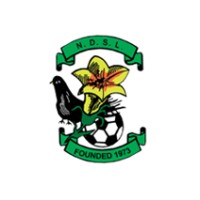 NDSL (North Dublin Schoolboys/Girls League) logo - Similar company to Ndsl