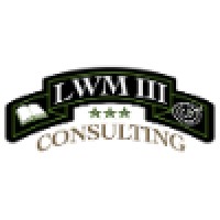 LWM III Consulting logo - Similar company to Data Solutions International