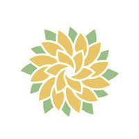 Integral Coach Collective