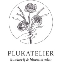 plukatelier logo - Similar company to Binqer
