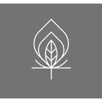 Canary Assets logo - Similar company to Mjb Media