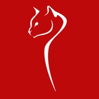 NightProwl Studio logo - Similar company to Dallesgo