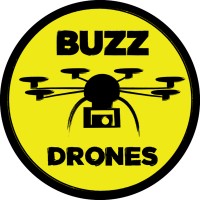 Buzz Drones logo - Similar company to Nuraling Ai