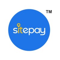 SITEPAY TECHNOLOGIES PRIVATE LIMITED logo - Similar company to Codex Technologie & Services