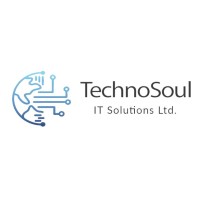 TechnoSoul IT Solutions Ltd. logo - Similar company to Inichepro It Solutions Private Limited