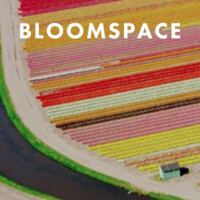 Bloomspace LLC logo - Similar company to Bluespark Data