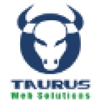 Taurus Web Solutions logo - Similar company to Iagentur Ag