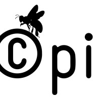Pinvi logo - Similar company to Amazônia Org