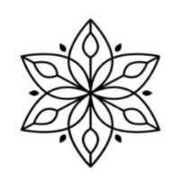 TheShalvar logo - Similar company to Tuzcuoglu
